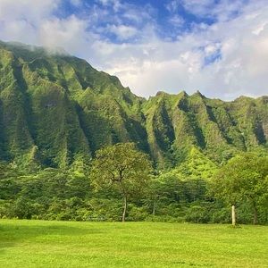 Meet your Posher, Elmer